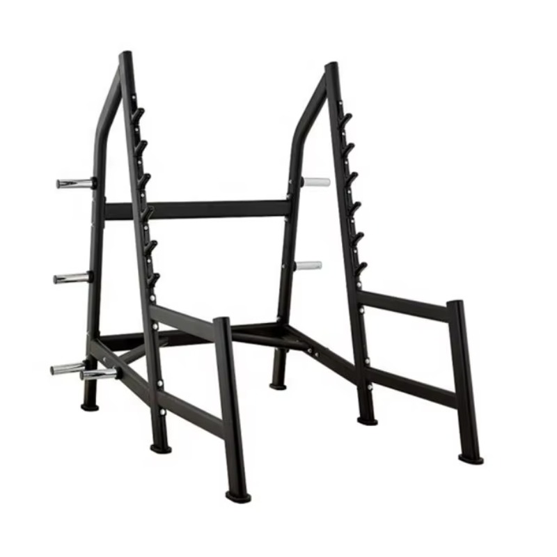 Squat Rack Power Cage, Plate L - Heavy Equipment Lifting 评论和价格