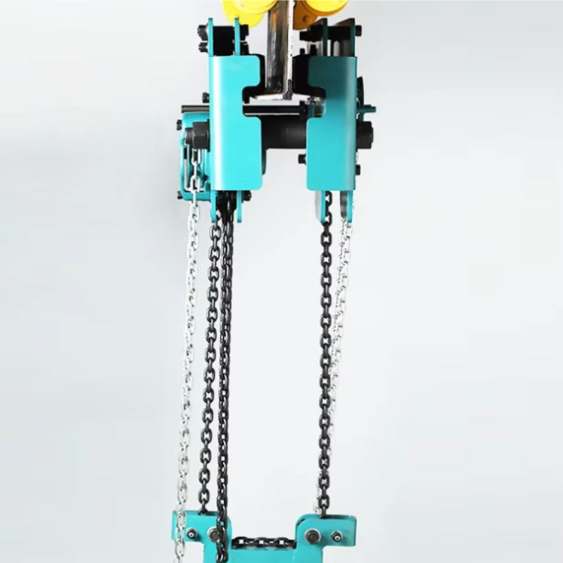 Low Headroom Double Chain Hand - Heavy Equipment Lifting 评论和价格