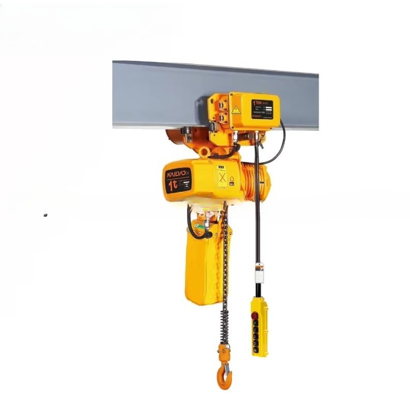 Dual Speed Electric Chain Hois - Heavy Equipment Lifting 评论和价格